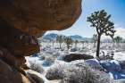 Winter storm-Joshua Tree National Park-California Art Print